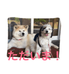 仲良しパティと。（個別スタンプ：20）