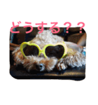 仲良しパティと。（個別スタンプ：21）