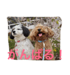 仲良しパティと。（個別スタンプ：22）