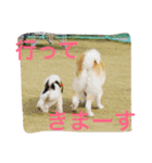 仲良しパティと。（個別スタンプ：23）