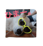 仲良しパティと。（個別スタンプ：24）