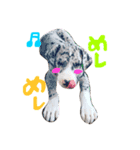 Great Dane Oliver（個別スタンプ：2）
