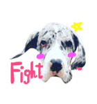 Great Dane Oliver（個別スタンプ：4）
