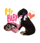 Great Dane Oliver（個別スタンプ：6）