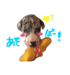 Great Dane Oliver（個別スタンプ：10）
