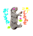 Great Dane Oliver（個別スタンプ：14）