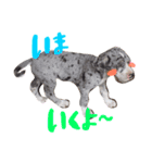 Great Dane Oliver（個別スタンプ：18）
