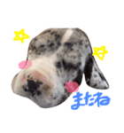 Great Dane Oliver（個別スタンプ：20）