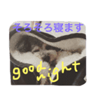 ぼくはトイプーのダッフィーです。（個別スタンプ：11）