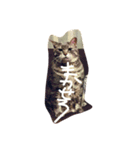 ふてくされキャット（個別スタンプ：3）