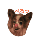 パピヨンのももじ！（個別スタンプ：9）