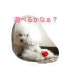 family momo（個別スタンプ：5）