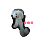 family momo（個別スタンプ：15）
