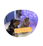 c＆j（個別スタンプ：3）