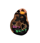 c＆j（個別スタンプ：4）