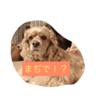 c＆j（個別スタンプ：7）