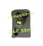 猫3兄妹にゃご！（個別スタンプ：6）