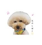 もこちゃん と スタンプ（個別スタンプ：1）