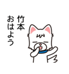 竹本→竹→笹→やっぱりパンダっしょ！（個別スタンプ：34）