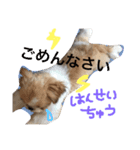 ロコちゃんスタンプ（個別スタンプ：3）