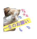 ロコちゃんスタンプ（個別スタンプ：4）