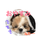 ロコちゃんスタンプ（個別スタンプ：7）