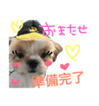 ロコちゃんスタンプ（個別スタンプ：8）