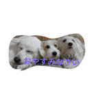 *lovely dogs*（個別スタンプ：8）