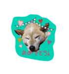 ごーごー！りくちゃん（個別スタンプ：1）