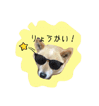 ごーごー！りくちゃん（個別スタンプ：2）