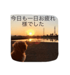 フク2（個別スタンプ：2）