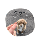 フク2（個別スタンプ：3）