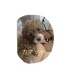 フク2（個別スタンプ：4）