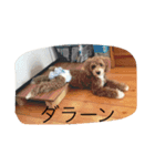 フク2（個別スタンプ：6）
