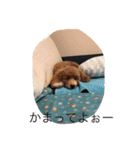 フク2（個別スタンプ：7）