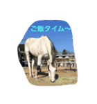 幸せ生活！（個別スタンプ：2）