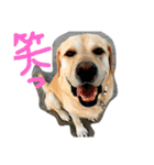 幸せ生活！（個別スタンプ：5）