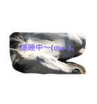 幸せ生活！（個別スタンプ：11）