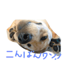 幸せ生活！（個別スタンプ：13）