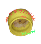 関西ハムスター一家（個別スタンプ：2）