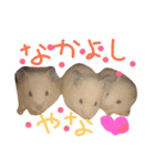関西ハムスター一家（個別スタンプ：5）