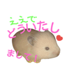 関西ハムスター一家（個別スタンプ：11）