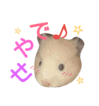 関西ハムスター一家（個別スタンプ：24）