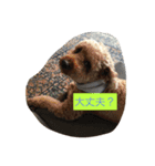 よろしく〜〜（個別スタンプ：4）