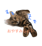 モデル:せんちゃん（個別スタンプ：4）