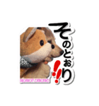 柴犬 ももこもも（個別スタンプ：4）