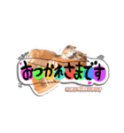 柴犬 ももこもも（個別スタンプ：6）