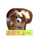 モコ 2（個別スタンプ：1）
