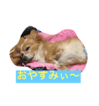 モコ 2（個別スタンプ：6）
