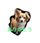 モコ 2（個別スタンプ：8）
